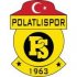 Polatlıspor crest