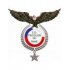 Tricolor de Paine crest